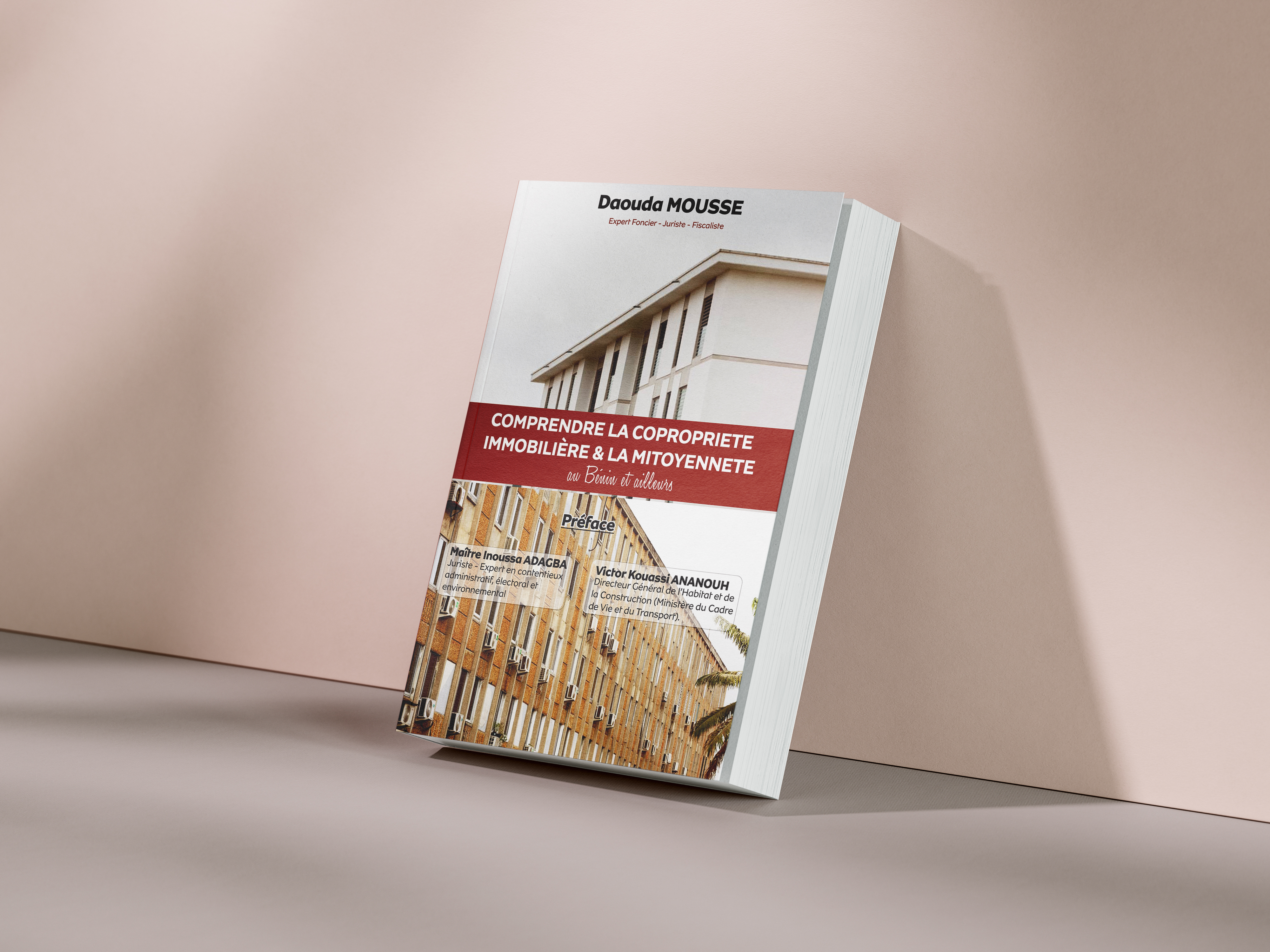 COMPRENDRE LA COPROPRIETE IMMOBILIERE ET LA MITOYENNETE AU BENIN ET AILLEURS